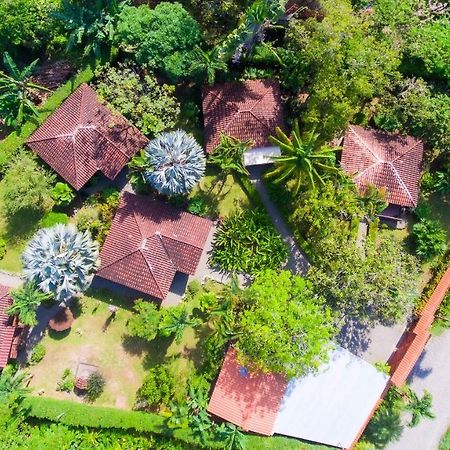 Casa Marcellino Lodge Cahuita Ngoại thất bức ảnh