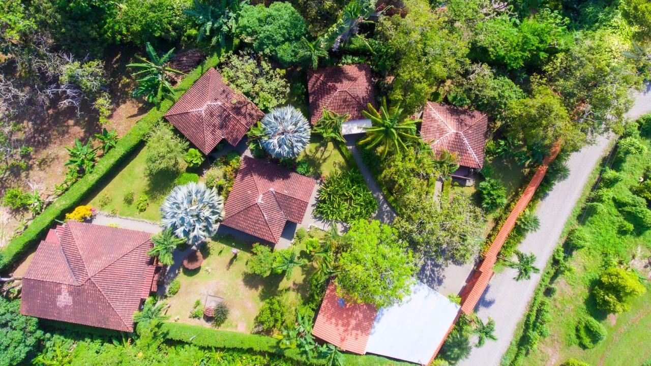 Casa Marcellino Lodge Cahuita Ngoại thất bức ảnh