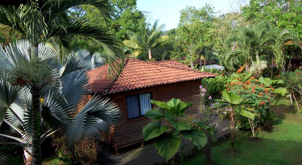 Casa Marcellino Lodge Cahuita Ngoại thất bức ảnh