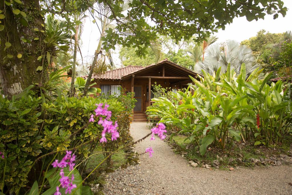 Casa Marcellino Lodge Cahuita Ngoại thất bức ảnh