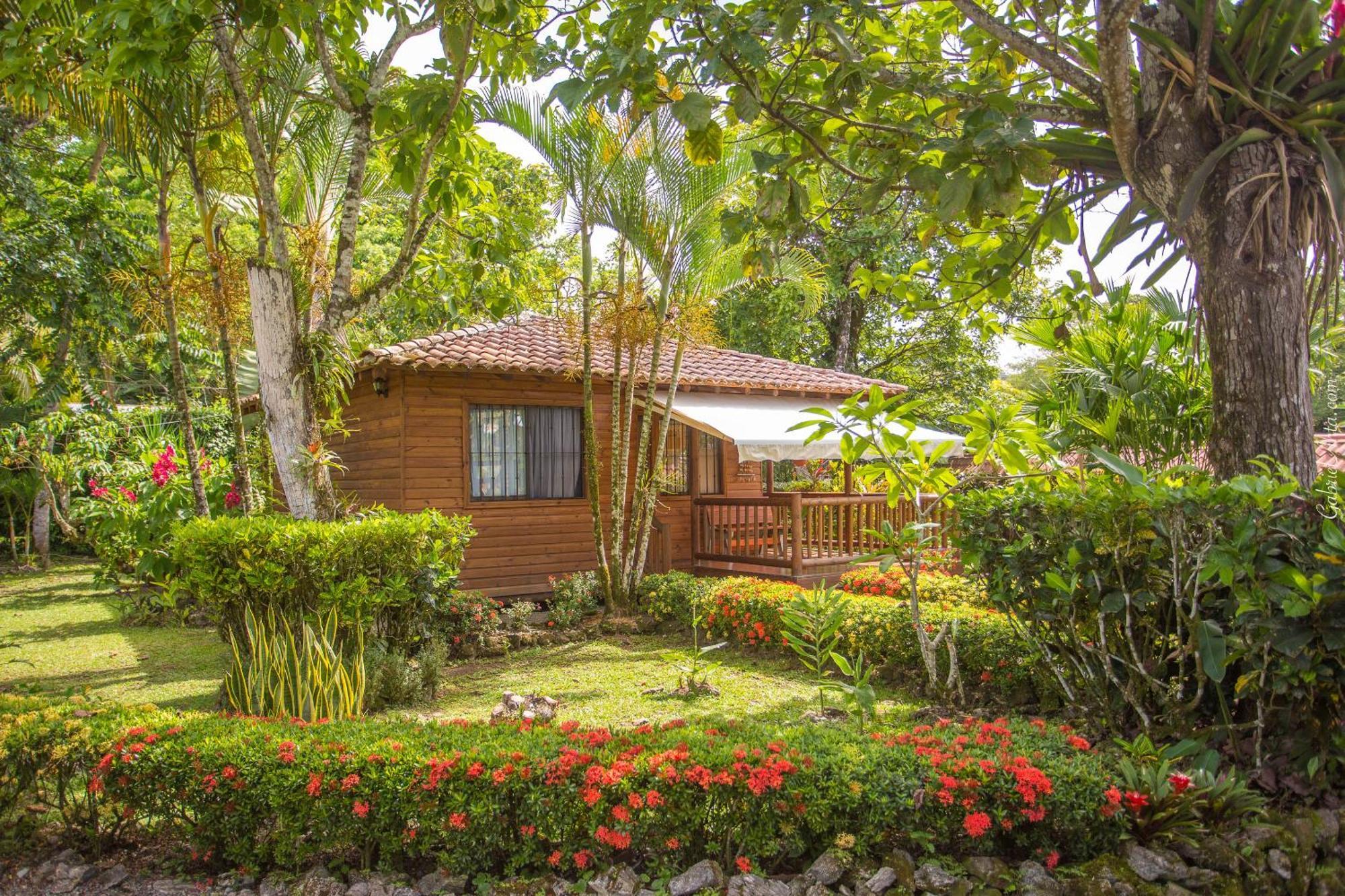 Casa Marcellino Lodge Cahuita Ngoại thất bức ảnh