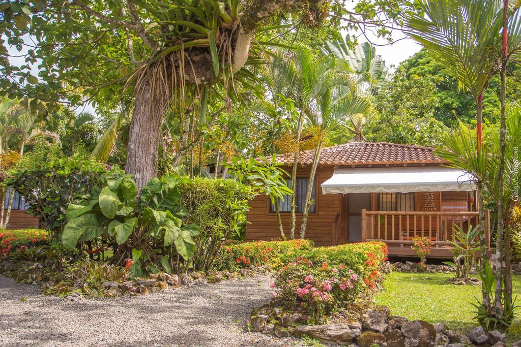 Casa Marcellino Lodge Cahuita Ngoại thất bức ảnh