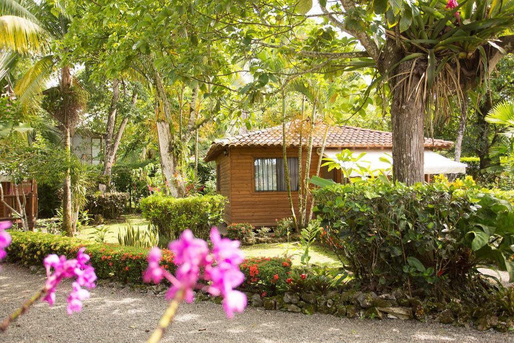 Casa Marcellino Lodge Cahuita Ngoại thất bức ảnh