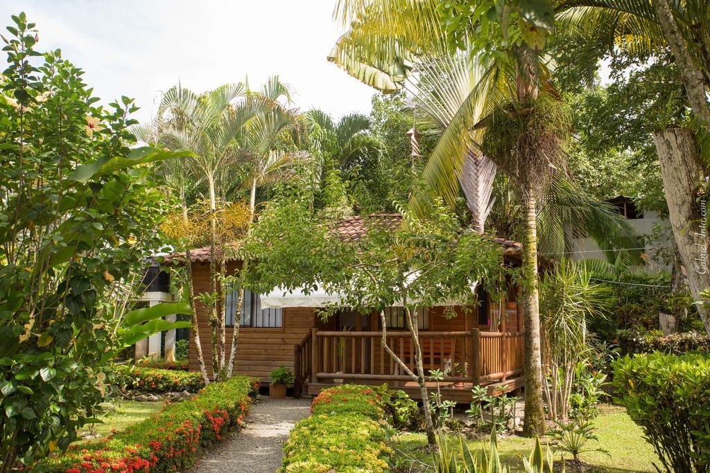 Casa Marcellino Lodge Cahuita Ngoại thất bức ảnh