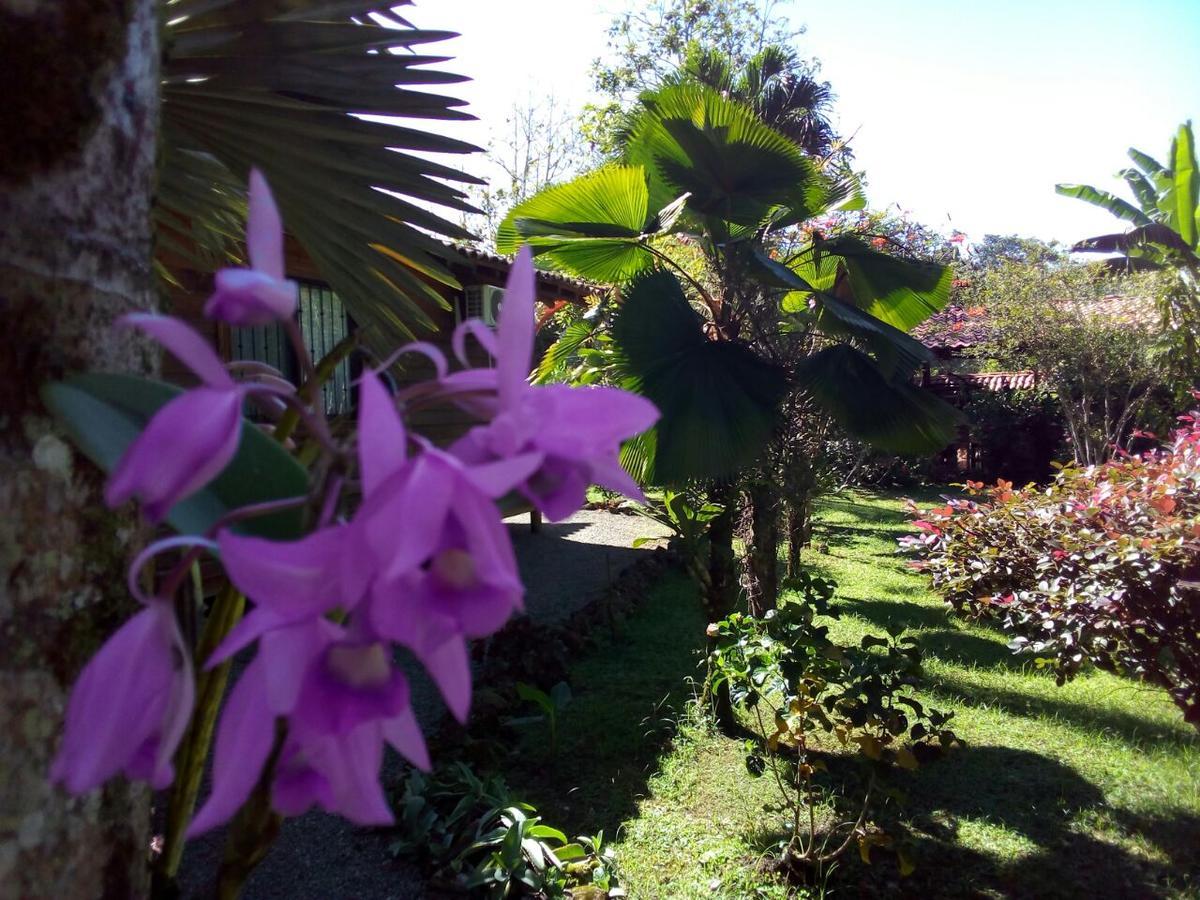 Casa Marcellino Lodge Cahuita Ngoại thất bức ảnh
