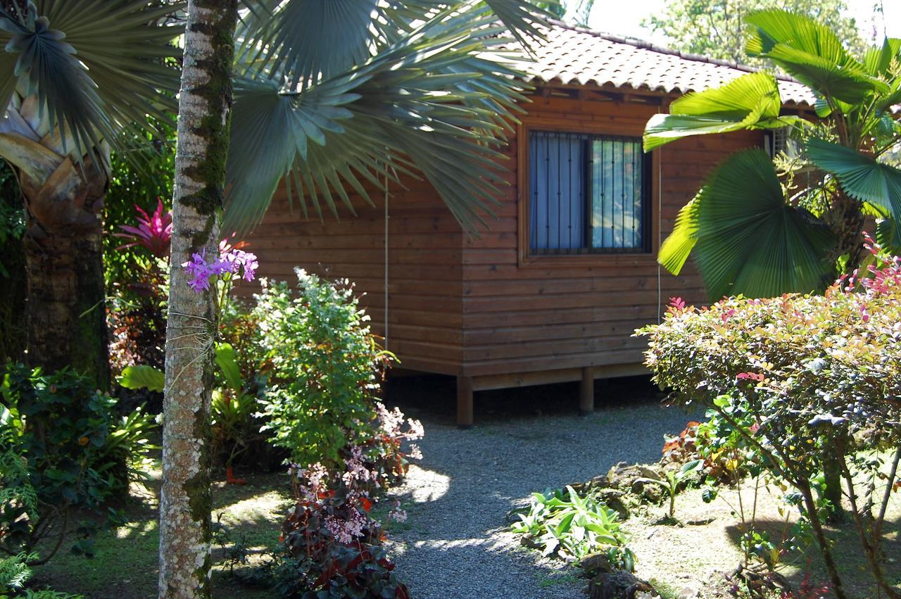 Casa Marcellino Lodge Cahuita Ngoại thất bức ảnh